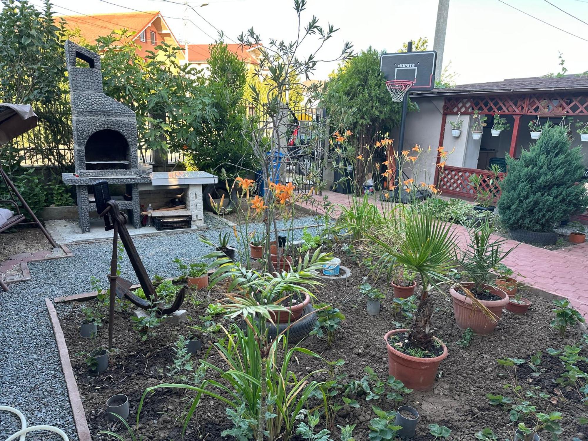 Apartmán Casa Vio Parter Eforie Nord Exteriér fotografie